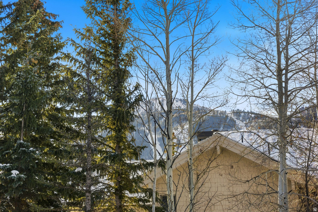 3506 OAK WOOD DR Park City, UT 84060