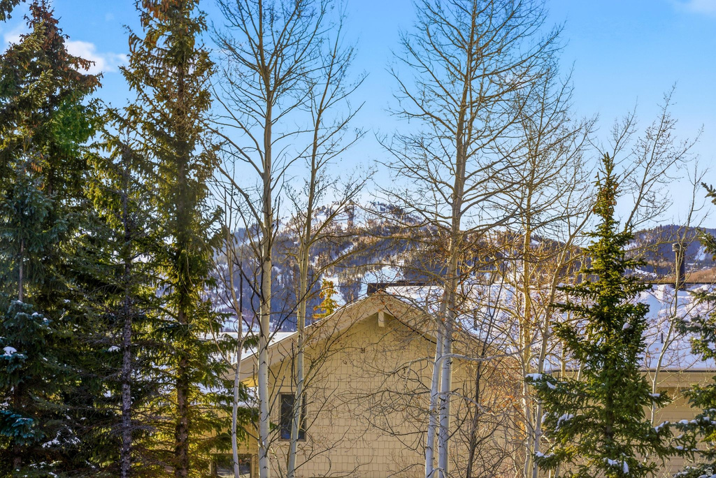 3506 OAK WOOD DR Park City, UT 84060