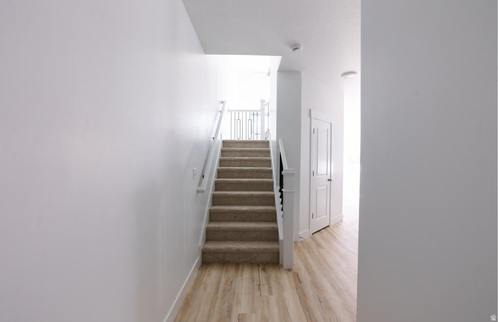 2943 N RED VELVET LN #2358 Saratoga Springs, UT 84045