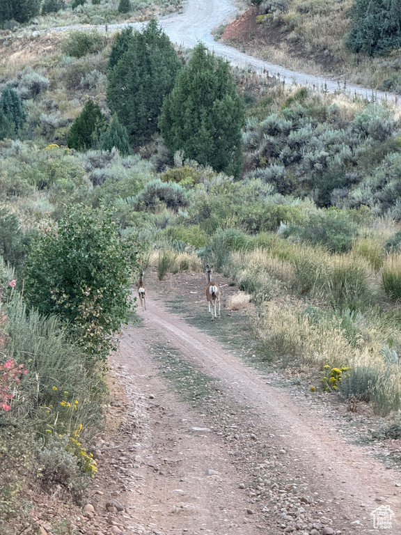  Hyrum, UT 84319