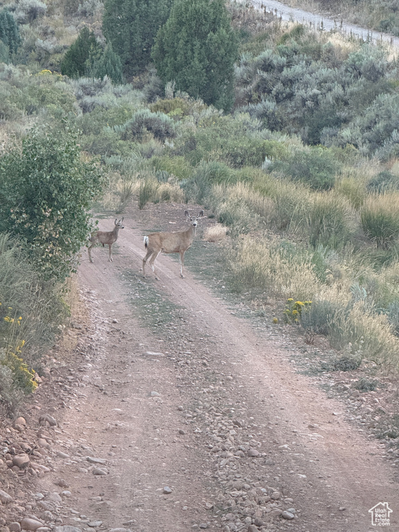  Hyrum, UT 84319
