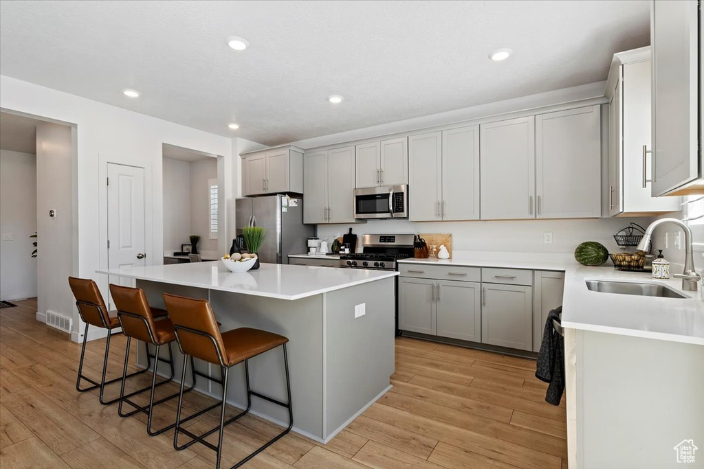 313 W SNOWBERRY DR Saratoga Springs, UT 84045