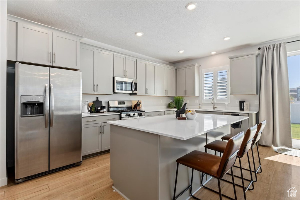 313 W SNOWBERRY DR Saratoga Springs, UT 84045