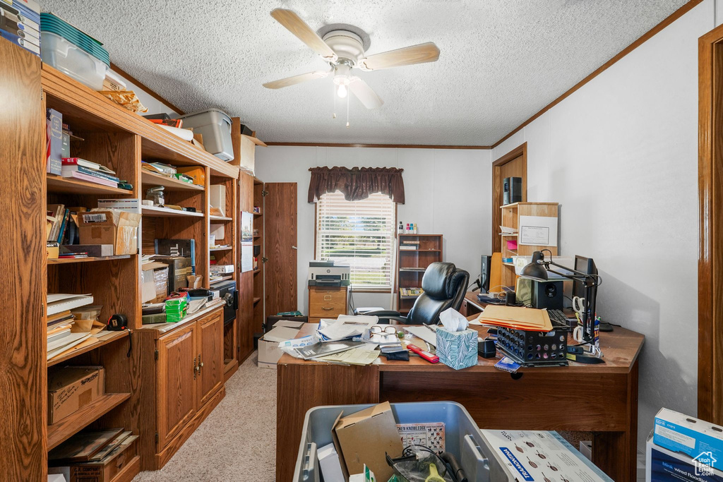 Photo 24 for MLS #2106380 at 2869 N 5150 West