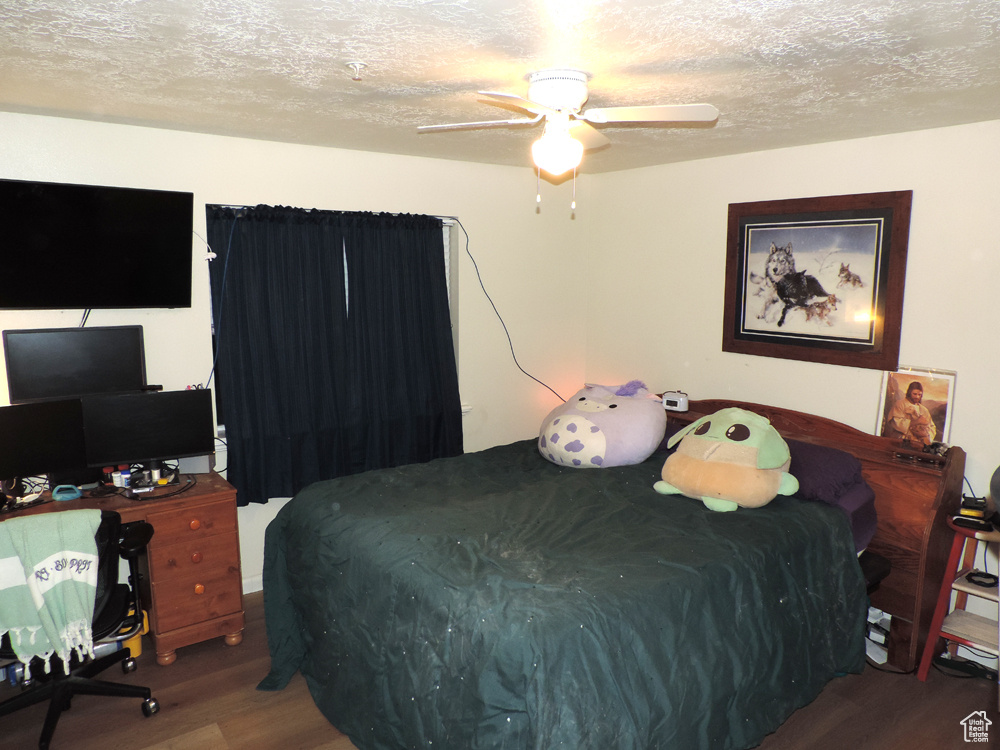 8198 N CEDAR SPRINGS RD #APT 5 Eagle Mountain, UT 84005