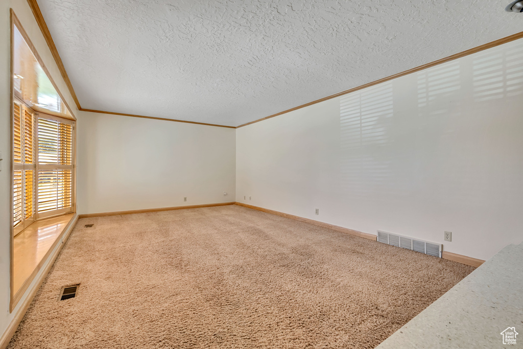 Photo 11 for MLS #2106478 at 8131 S Viscounti Dr