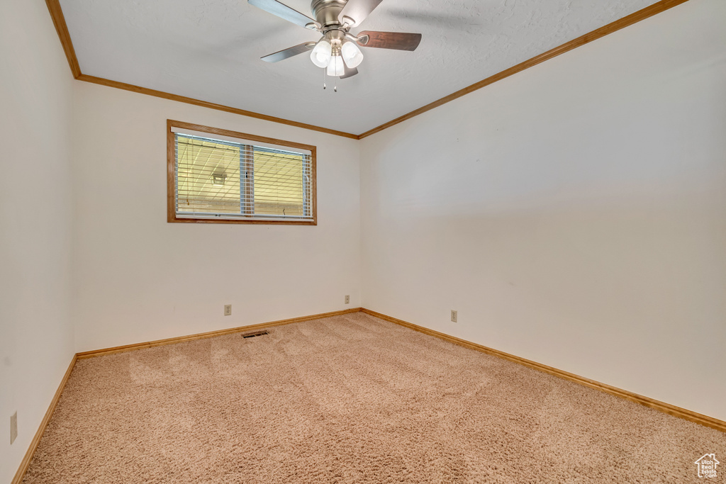 Photo 21 for MLS #2106478 at 8131 S Viscounti Dr