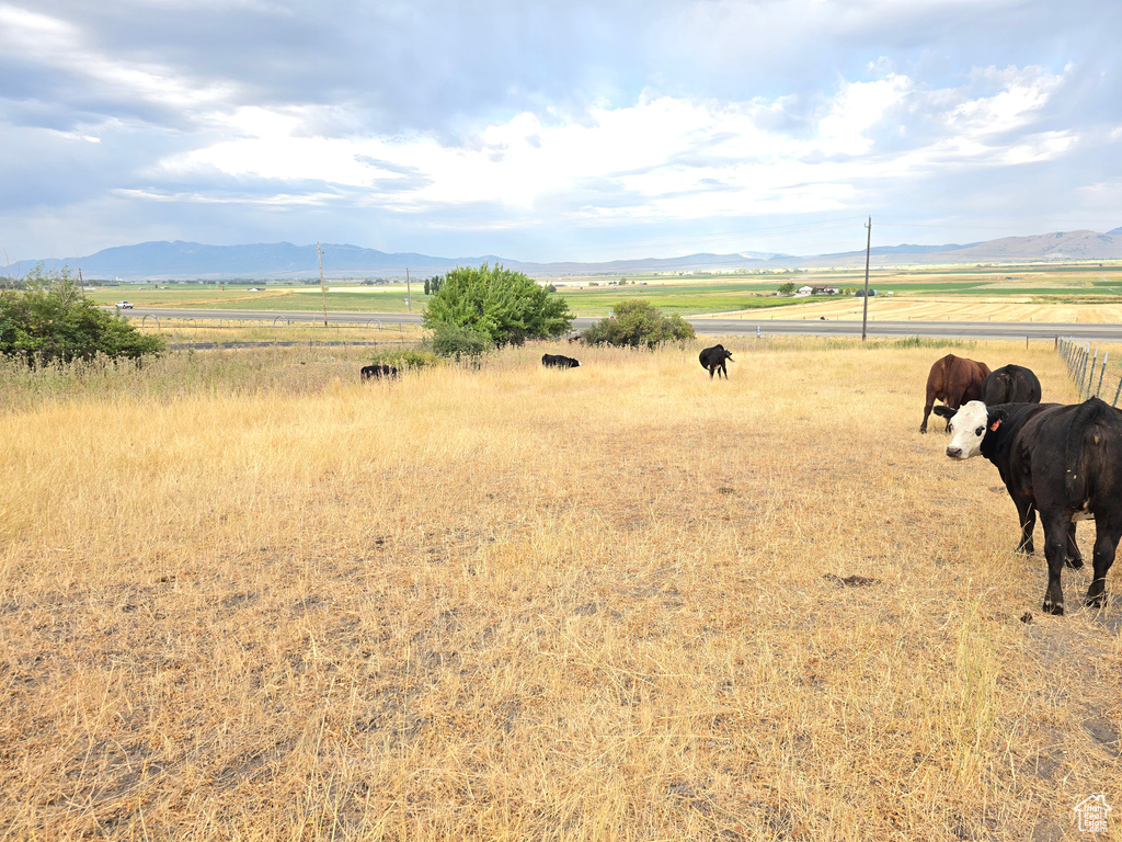 9000  N HWY 91 Richmond, UT 84333