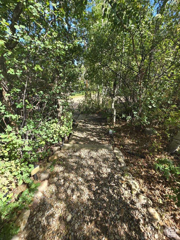 Photo 46 for MLS #2106550 at 1001 Juniper Cir