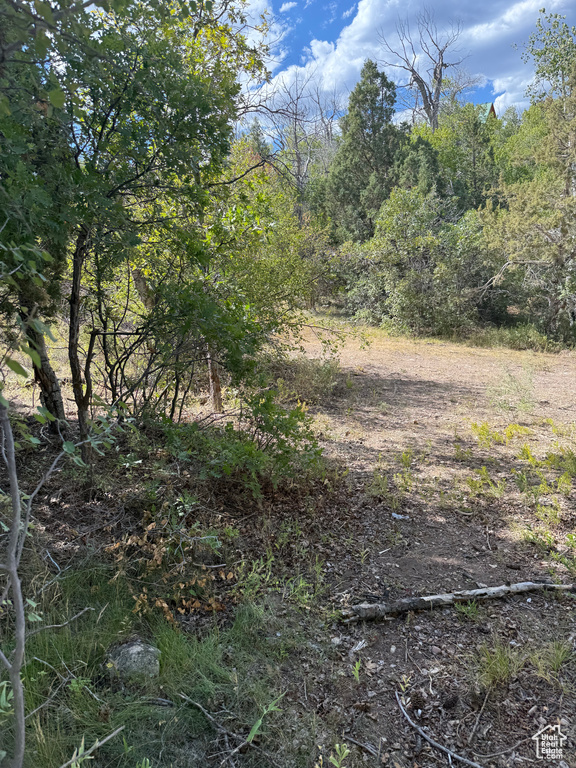 Photo 56 for MLS #2106550 at 1001 Juniper Cir