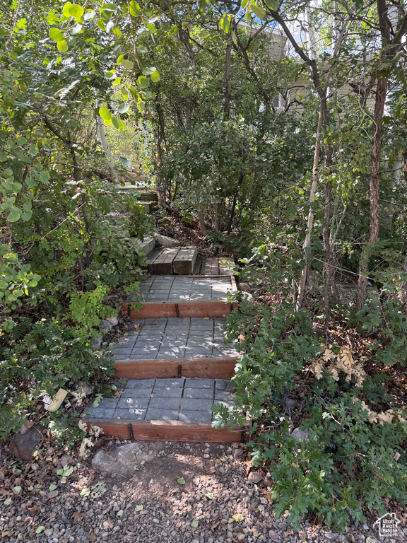 Photo 47 for MLS #2106550 at 1001 Juniper Cir