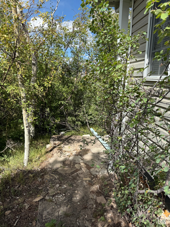 Photo 44 for MLS #2106550 at 1001 Juniper Cir