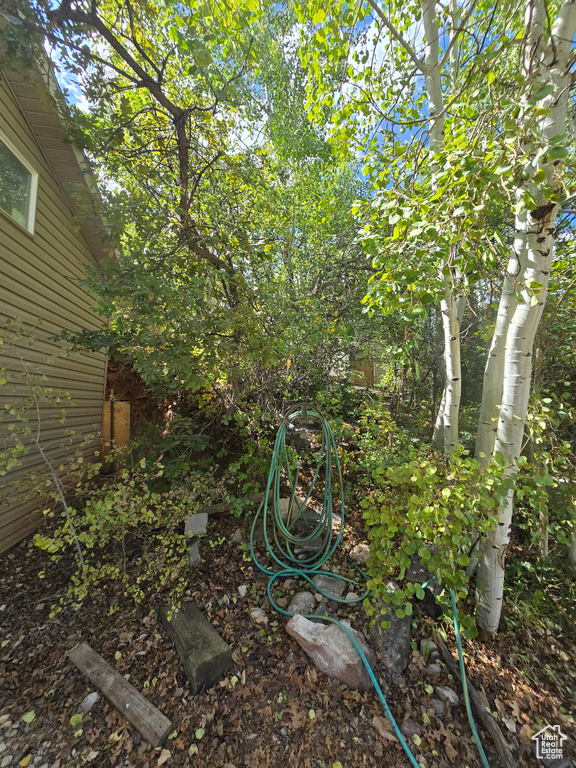 Photo 42 for MLS #2106550 at 1001 Juniper Cir