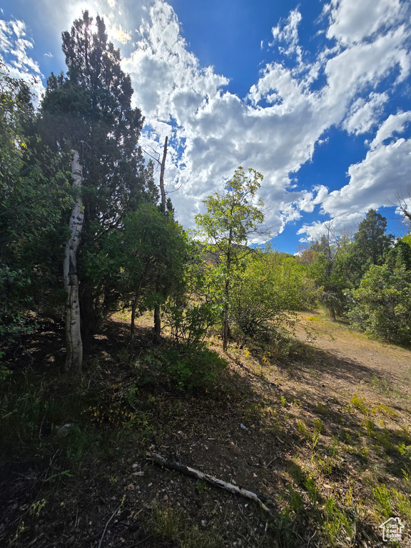 Photo 54 for MLS #2106550 at 1001 Juniper Cir