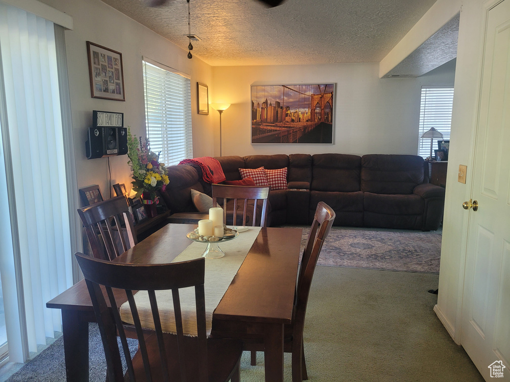 Photo 6 for MLS #2106596 at 5502 N Ardennes Way