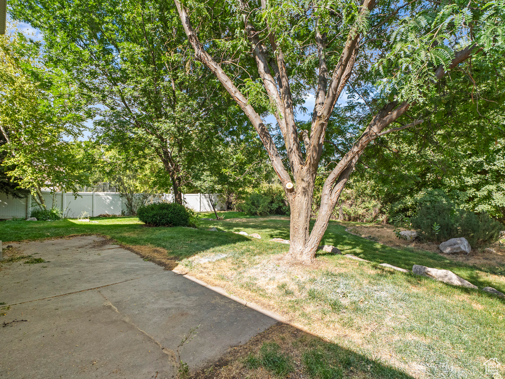 Photo 23 for MLS #2106638 at 6378 S Raymond Dr