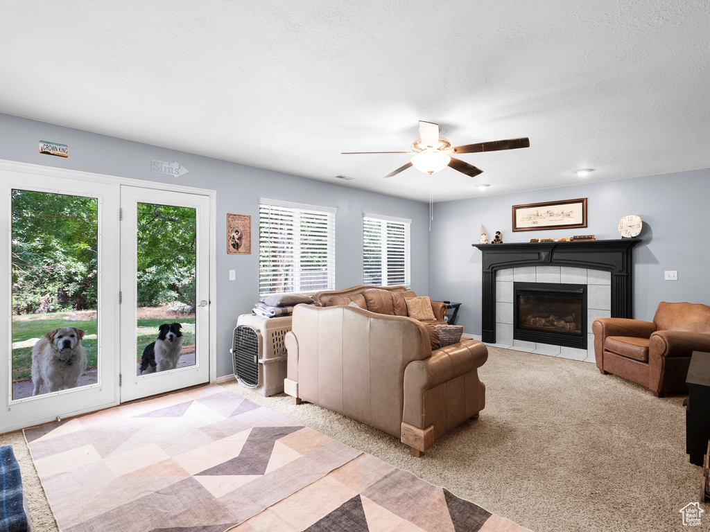 Photo 5 for MLS #2106638 at 6378 S Raymond Dr