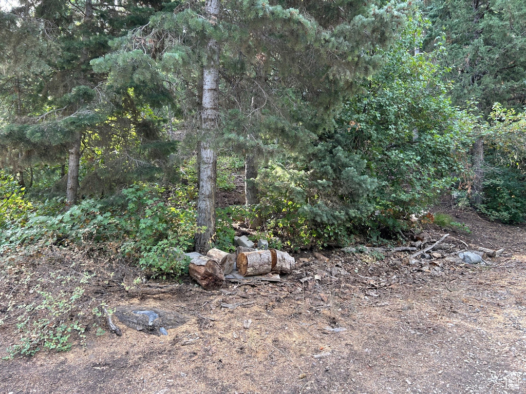 Photo 39 for MLS #2106735 at 49 N Pine Creek Rd