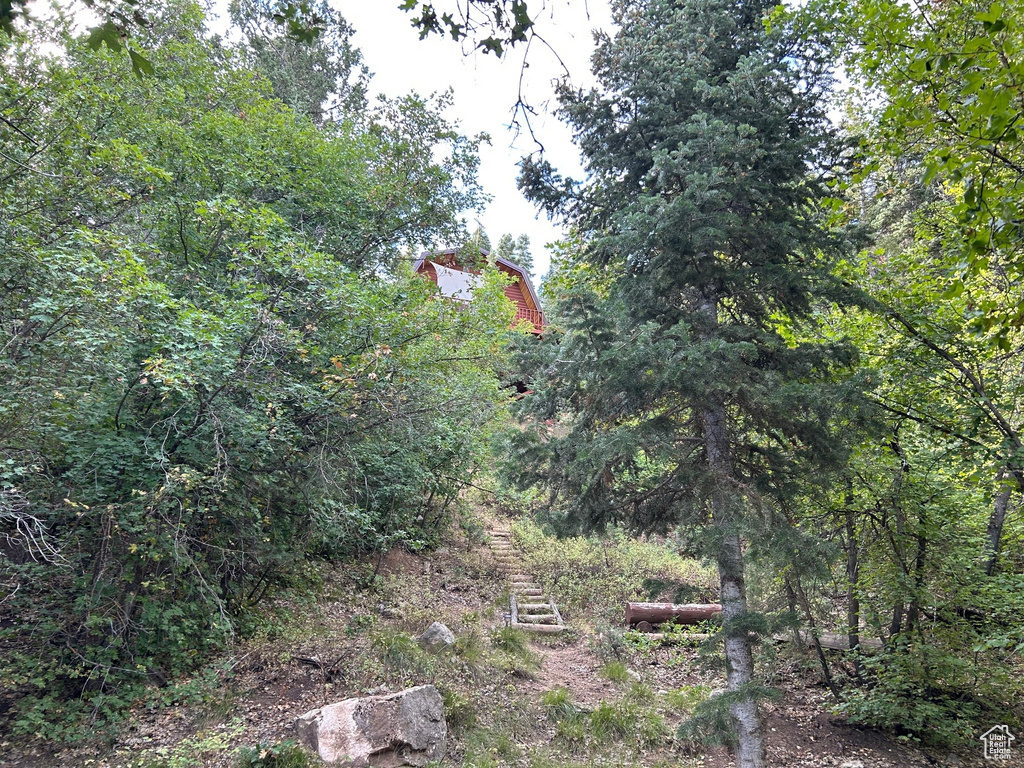 Photo 41 for MLS #2106735 at 49 N Pine Creek Rd