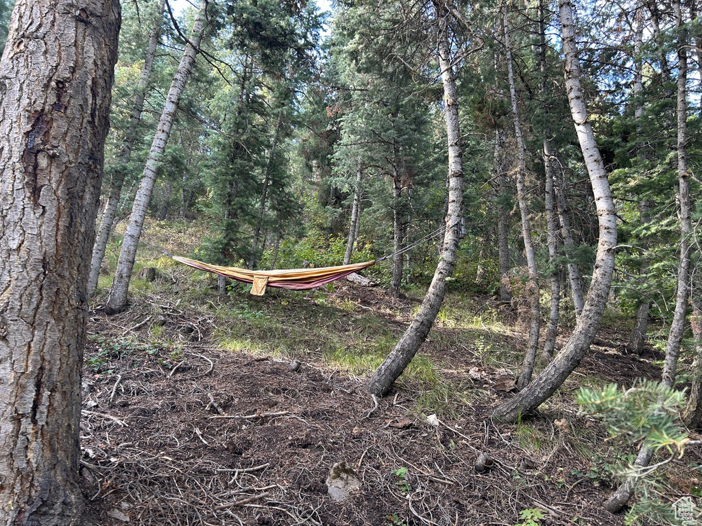 Photo 11 for MLS #2106735 at 49 N Pine Creek Rd