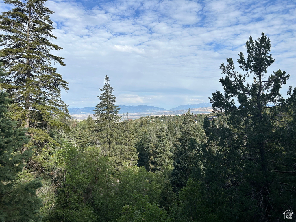 Photo 5 for MLS #2106735 at 49 N Pine Creek Rd