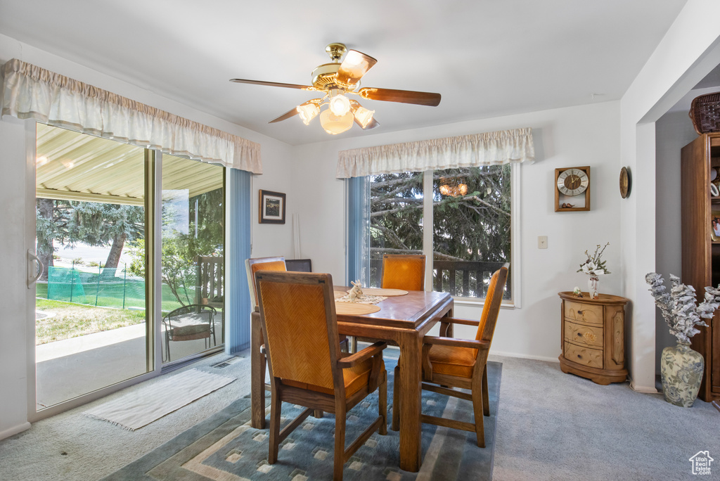 Photo 12 for MLS #2106745 at 134 Skyline Dr