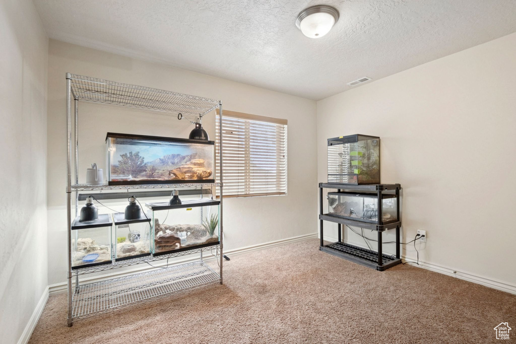 Photo 28 for MLS #2106770 at 6189 S Elderberry Ln