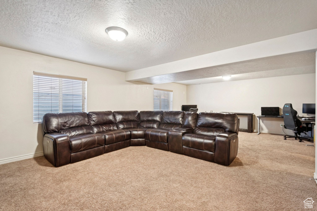 Photo 19 for MLS #2106770 at 6189 S Elderberry Ln