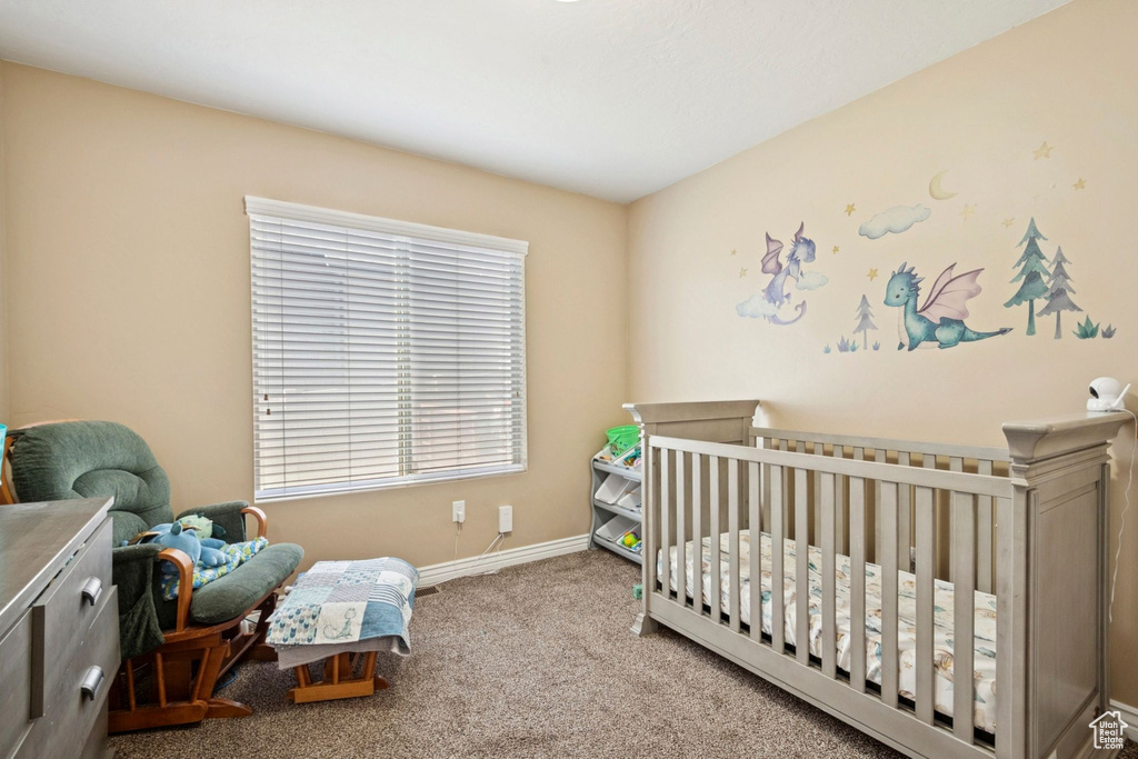 Photo 14 for MLS #2106770 at 6189 S Elderberry Ln