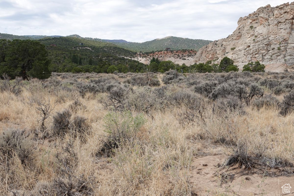 1000 S SOUTH BIRCH CREEK RD Teasdale, UT 84773