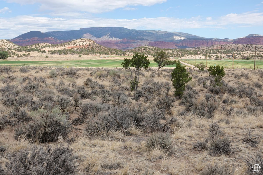 1000 S SOUTH BIRCH CREEK RD Teasdale, UT 84773