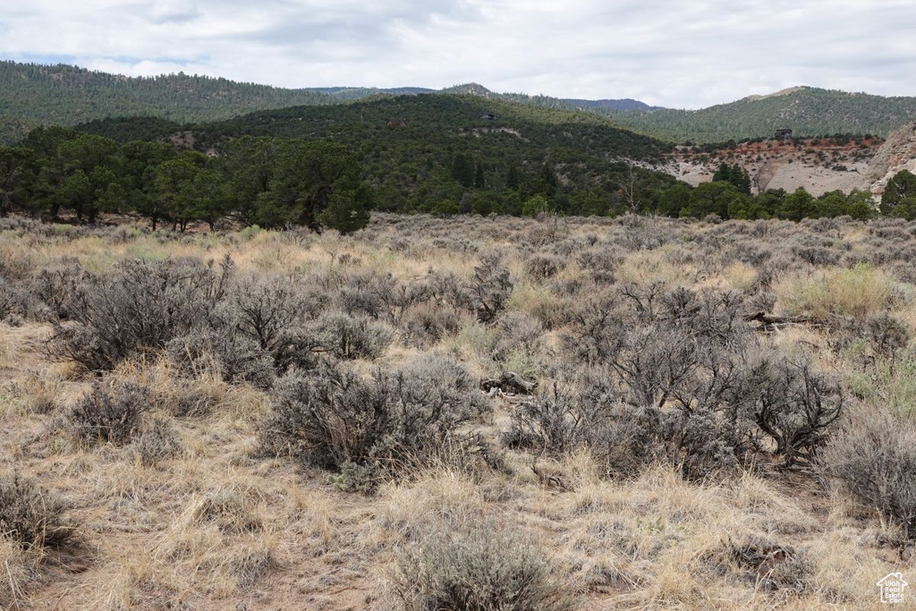 1000 S SOUTH BIRCH CREEK RD Teasdale, UT 84773