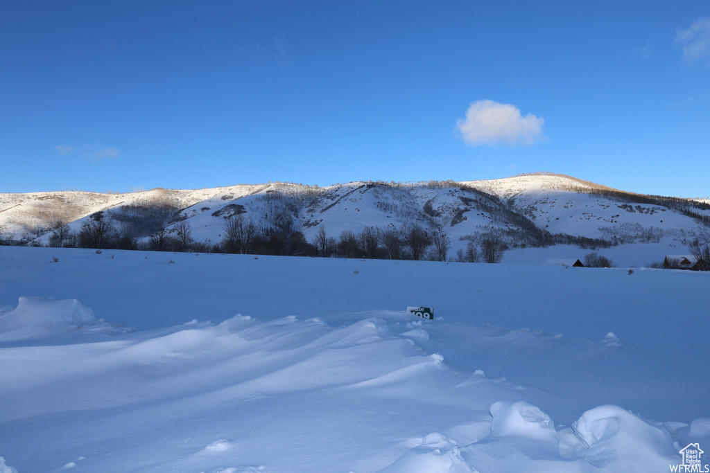 109  ASPEN COVE DR Scofield, UT 84526