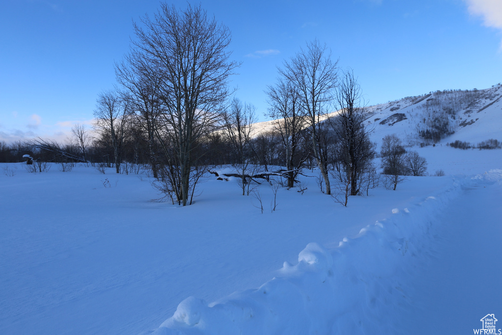 109  ASPEN COVE DR Scofield, UT 84526