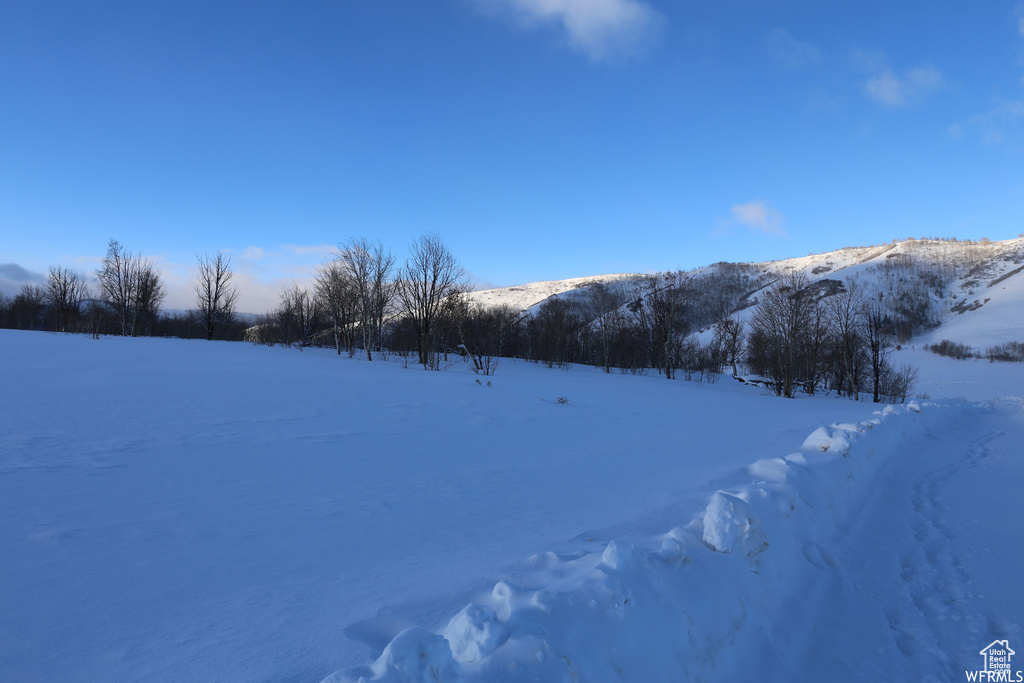 109  ASPEN COVE DR Scofield, UT 84526