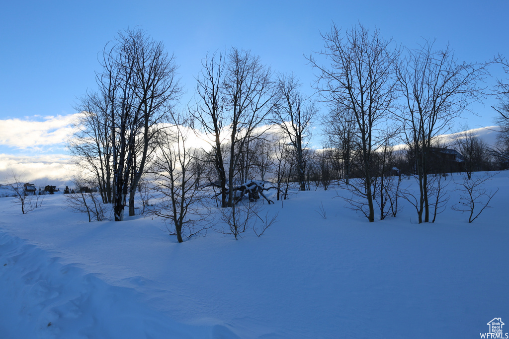 109  ASPEN COVE DR Scofield, UT 84526