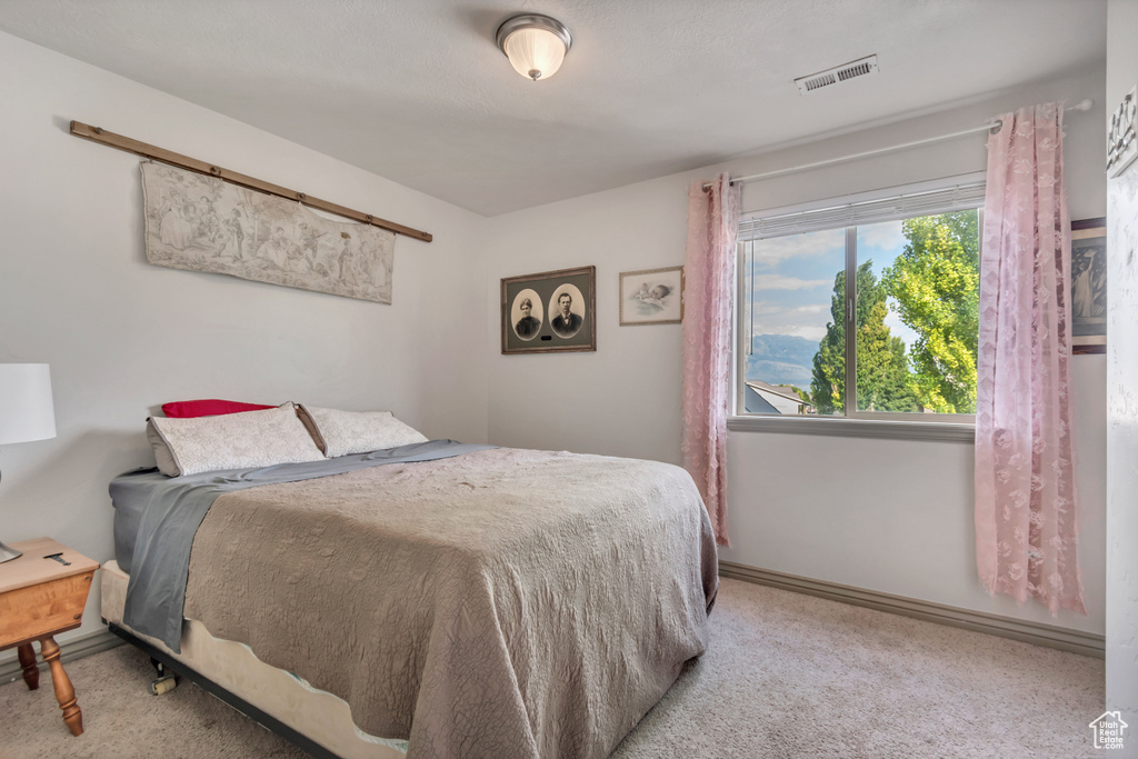Photo 34 for MLS #2106798 at 317 W Farmside Dr