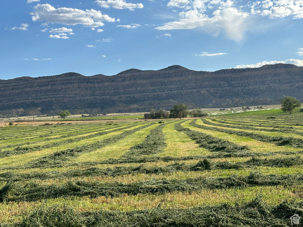 1950 S LIZARD RD Escalante, UT 84726