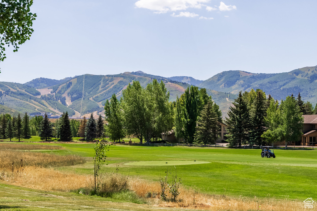 Photo 15 for MLS #2106840 at 2903 Sunny Slopes Ct