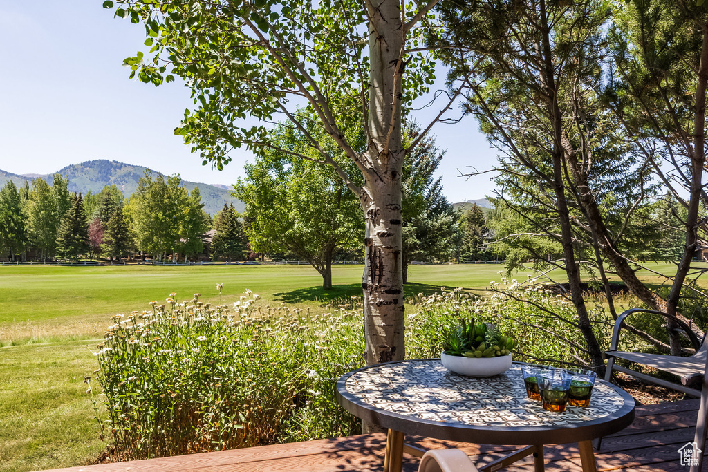 Photo 11 for MLS #2106840 at 2903 Sunny Slopes Ct
