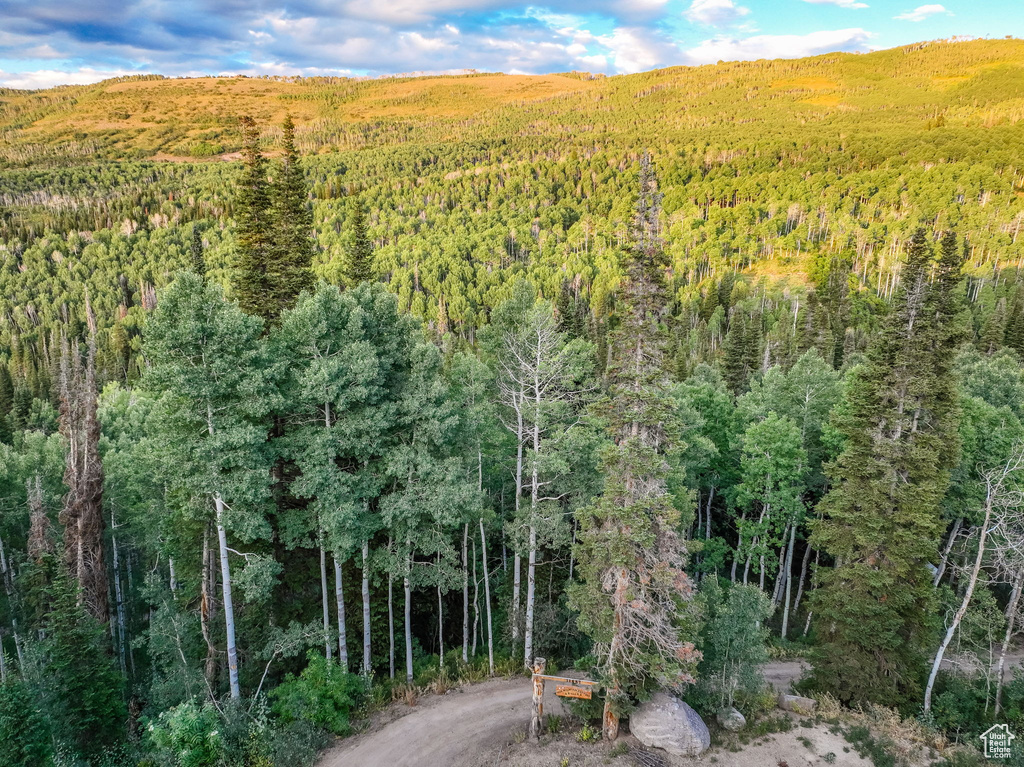 Photo 39 for MLS #2106844 at 11487 E Aspen Rd #428