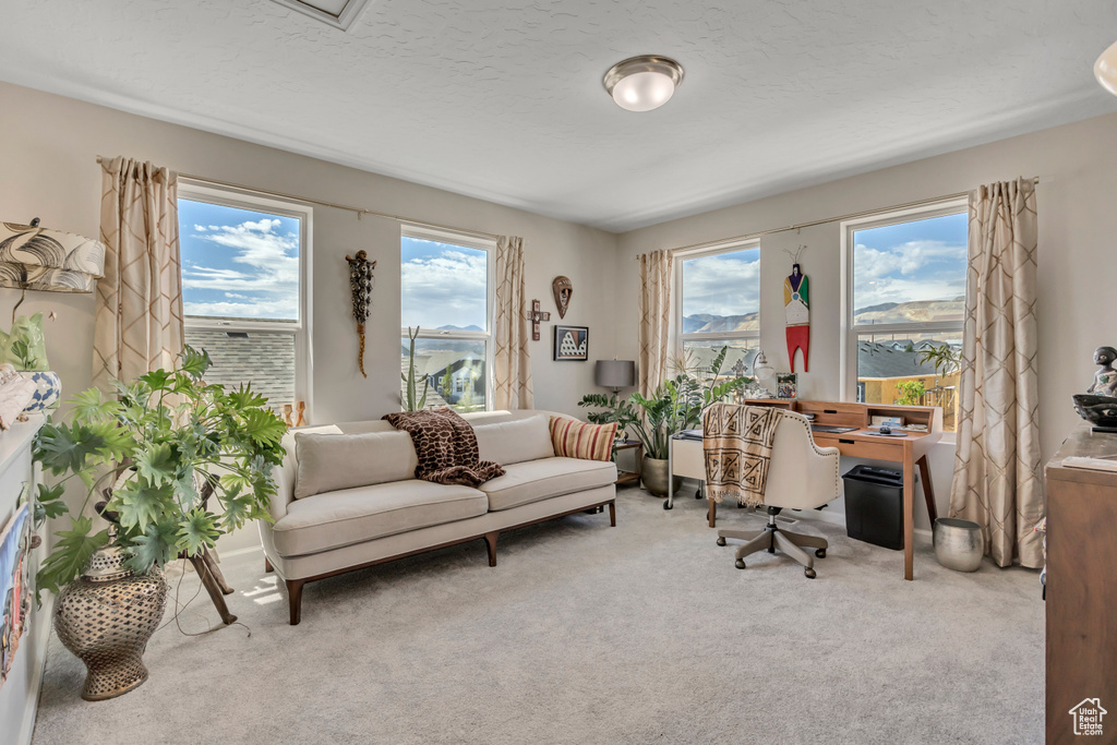 Photo 18 for MLS #2106894 at 11721 S Gannet Way