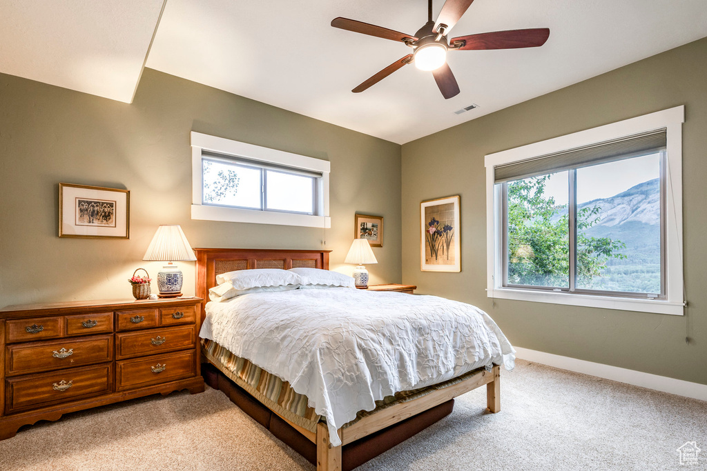 Photo 29 for MLS #2106898 at 2163 E 6825 North