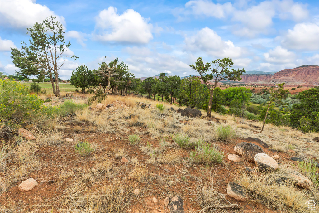 View of undeveloped land featuring rural landscape