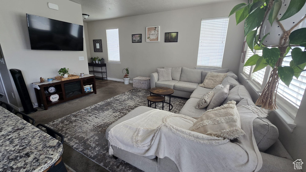 Photo 6 for MLS #2106985 at 4411 W Meadow Path Ln