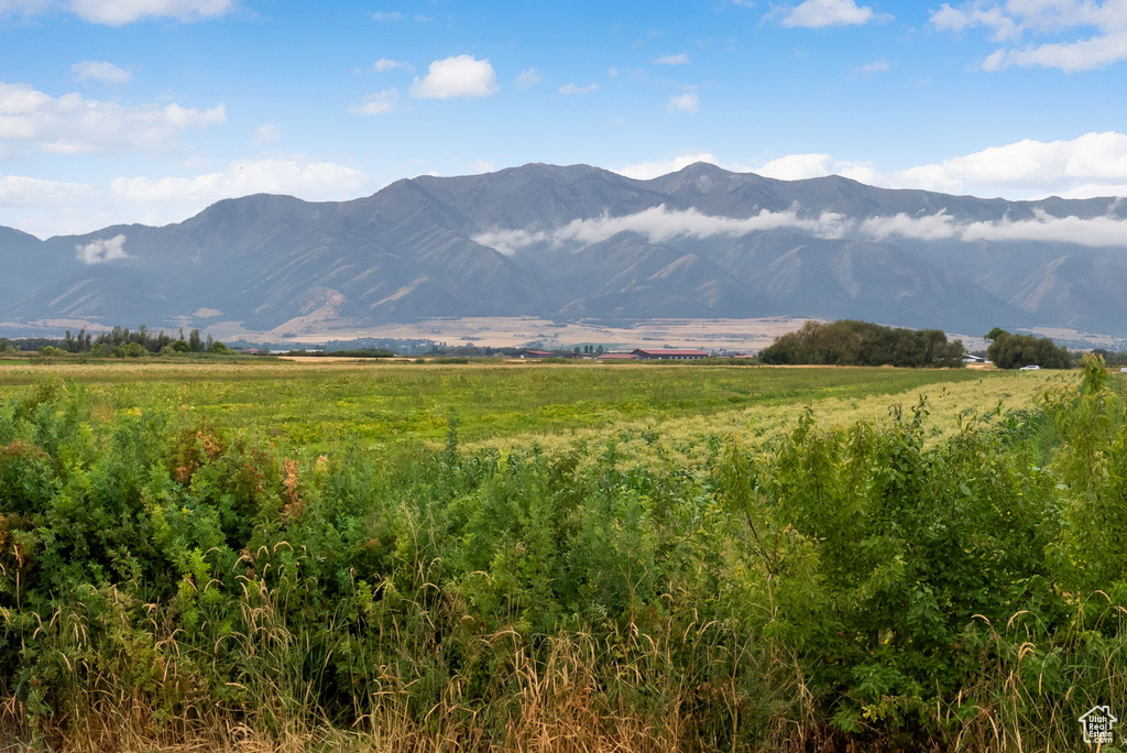 3437 S 1300 W Nibley, UT 84321