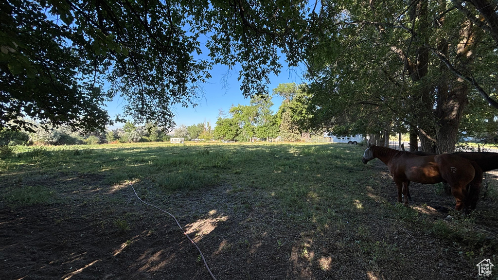 414 E 2625 N Layton, UT 84041