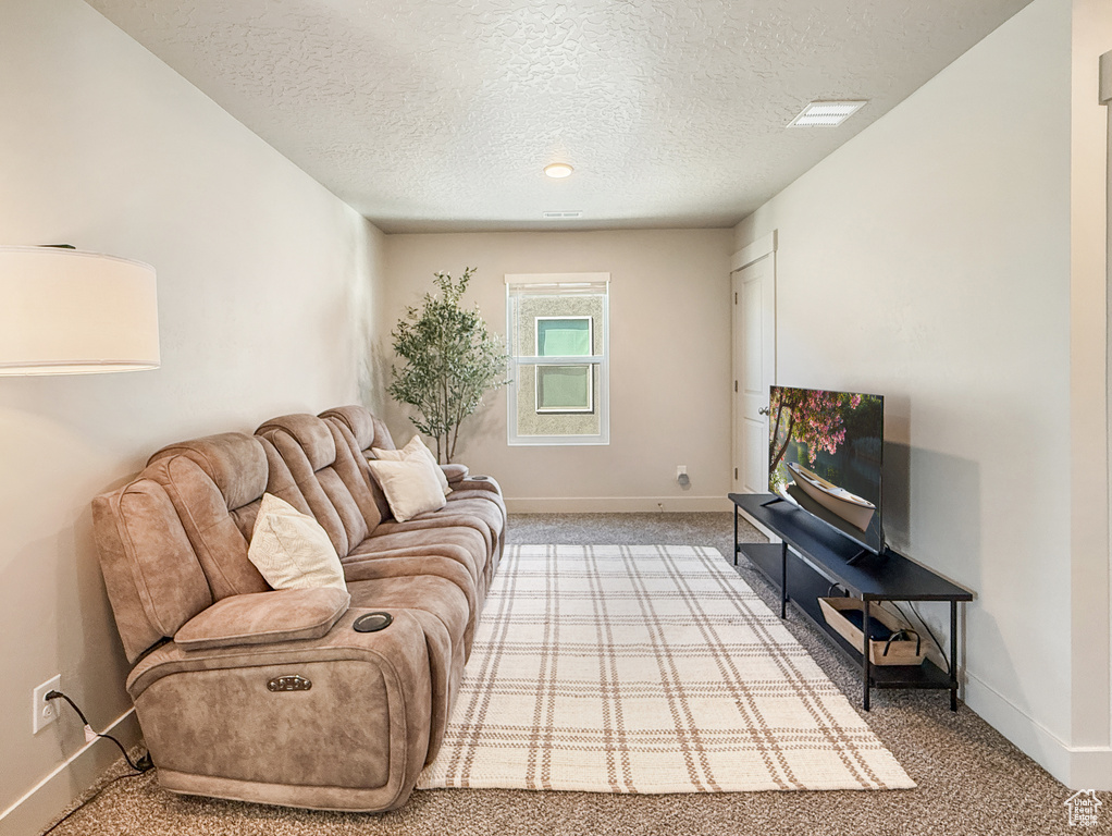 3923 S WHITE ASH DR Mapleton, UT 84664