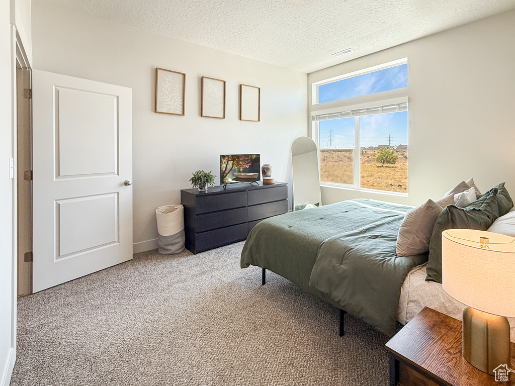 3923 S WHITE ASH DR Mapleton, UT 84664