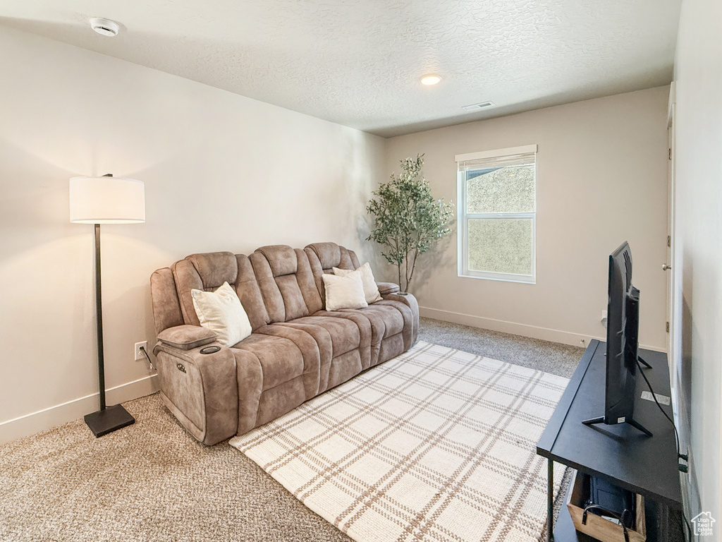 3923 S WHITE ASH DR Mapleton, UT 84664